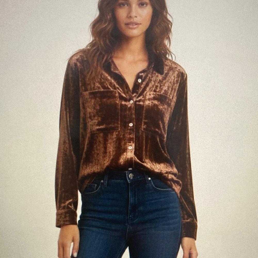 Evereve Velvet Brown Button Down Ling Sleeve Blouse Shirt S89